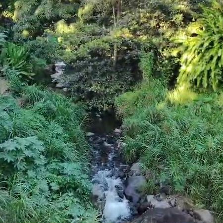 圣克洛德 Dome En Bord De Riviere酒店 外观 照片