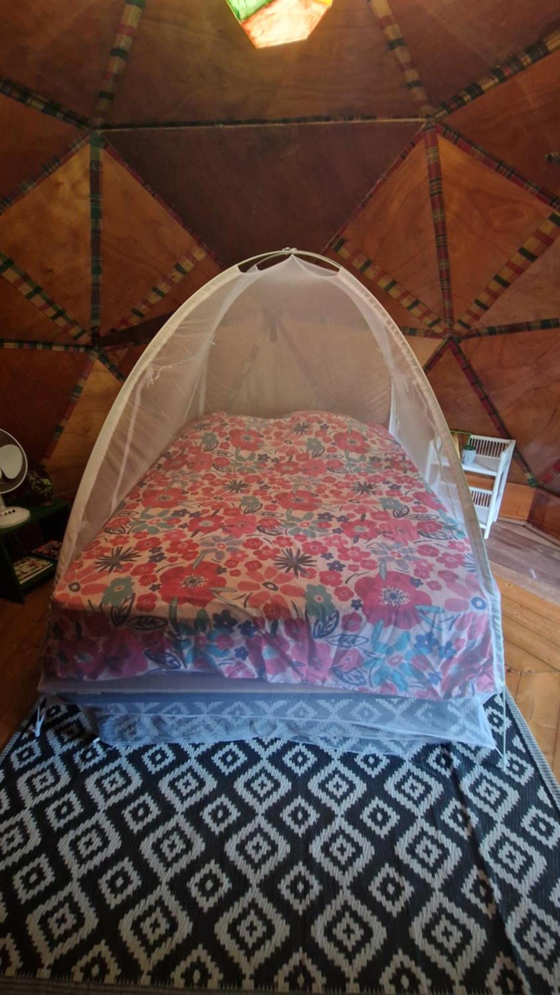 圣克洛德 Dome En Bord De Riviere酒店 外观 照片